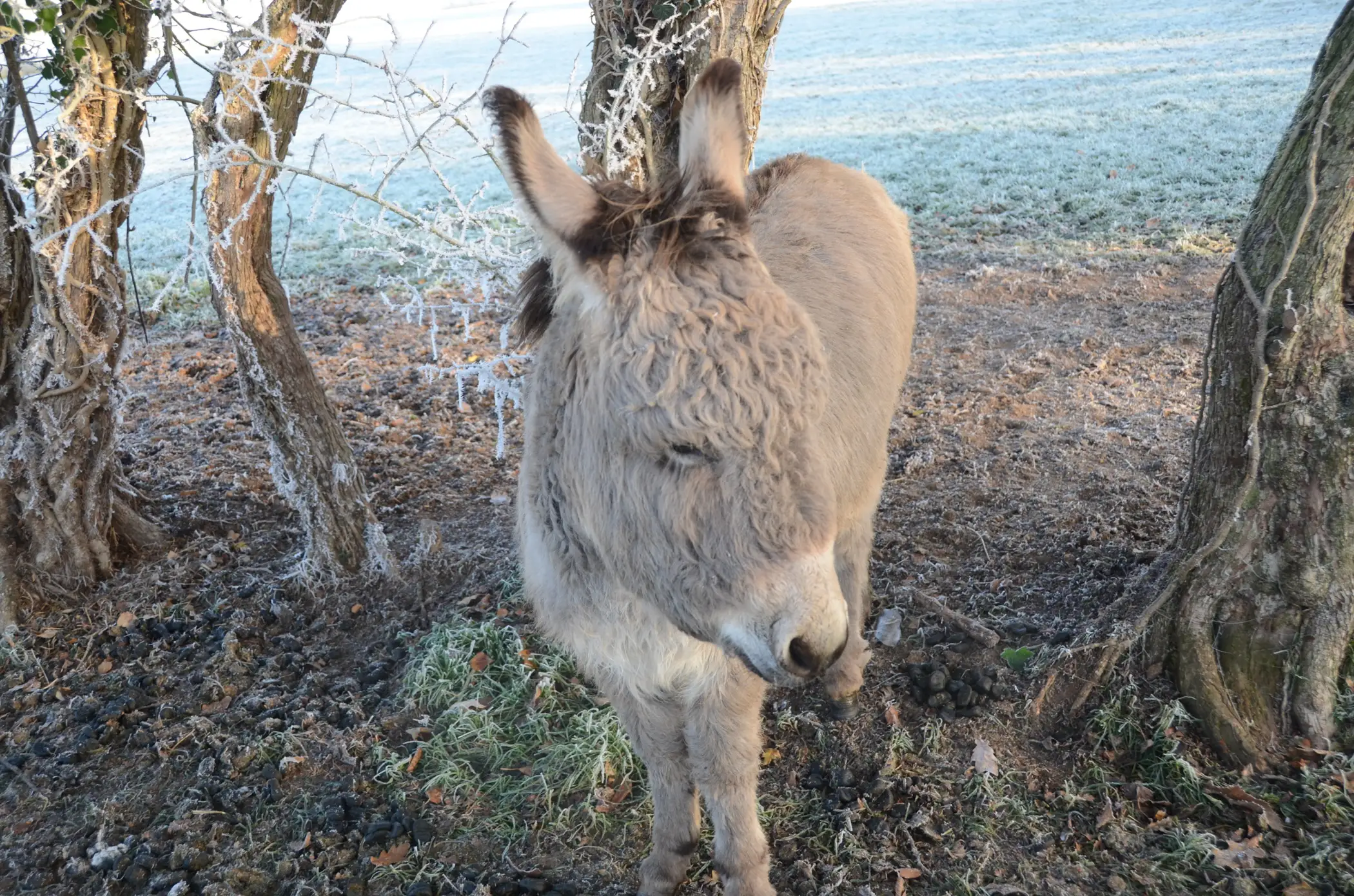 Cottage for 2 people in Gesves Les Cabanes des Pierreux : Ralf
